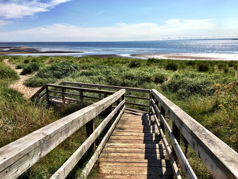 calvine+caravan+park